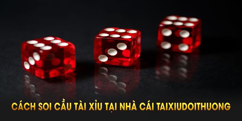 Lý do mọi người nên cách soi cầu tài xỉu tại trangTaixiudoithuong.net