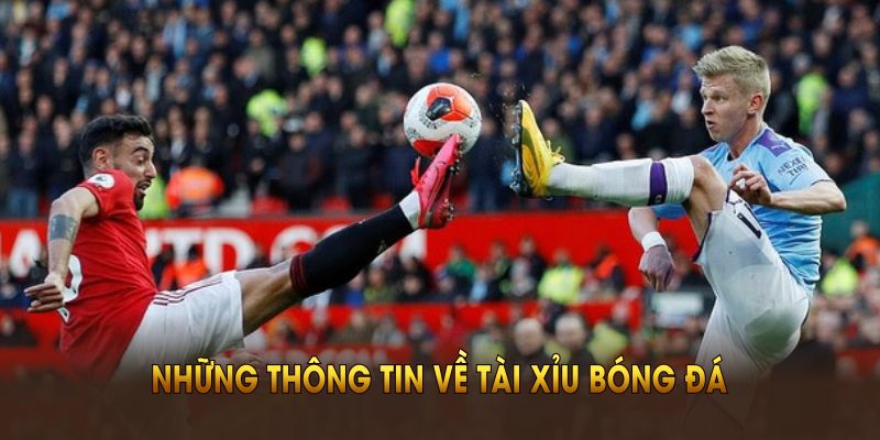 Những thông tin về tài xỉu bóng đá tại sân chơi
