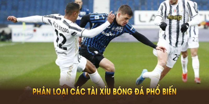Phân loại các tài xỉu bóng đá phổ biến nhất tại nhà cái