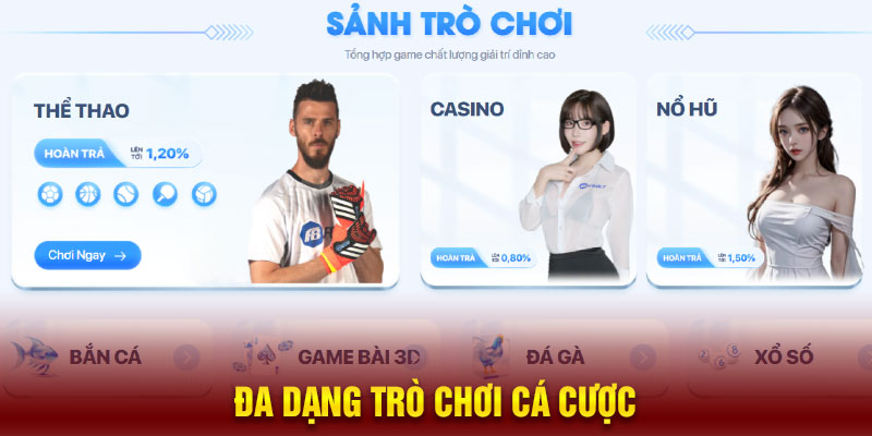 Cá Cược Đa Dạng Và Hấp Dẫn Tại F8bet